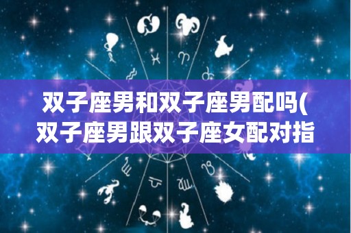 双子座男和双子座男配吗(双子座男跟双子座女配对指数)