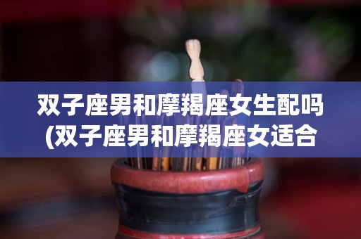 双子座男和摩羯座女生配吗(双子座男和摩羯座女适合在一起吗)