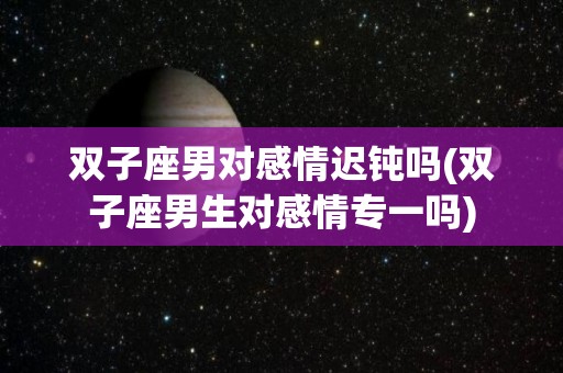 双子座男对感情迟钝吗(双子座男生对感情专一吗)