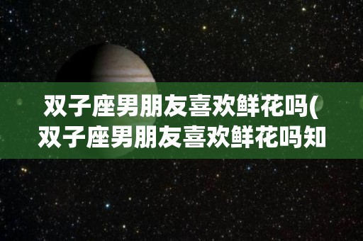 双子座男朋友喜欢鲜花吗(双子座男朋友喜欢鲜花吗知乎)