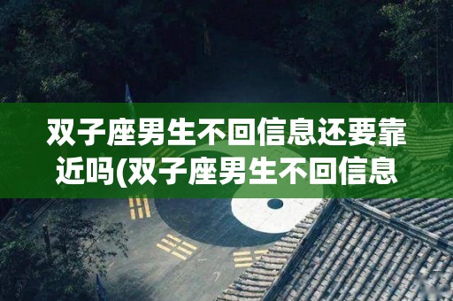 双子座男生不回信息还要靠近吗(双子座男生不回信息还要靠近吗知乎)