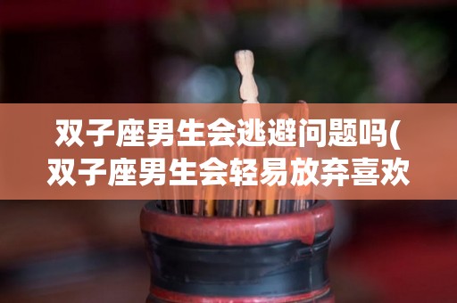 双子座男生会逃避问题吗(双子座男生会轻易放弃喜欢的人吗)