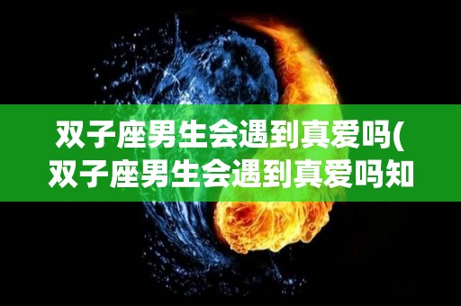 双子座男生会遇到真爱吗(双子座男生会遇到真爱吗知乎)