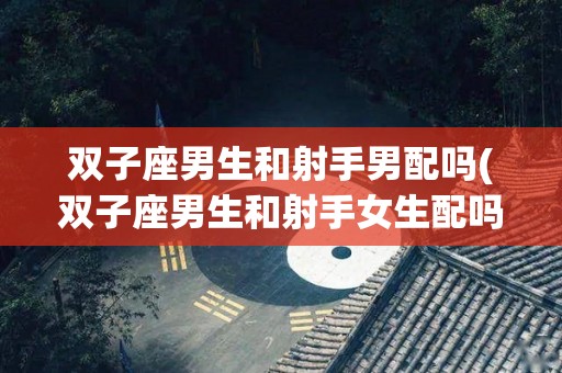 双子座男生和射手男配吗(双子座男生和射手女生配吗)