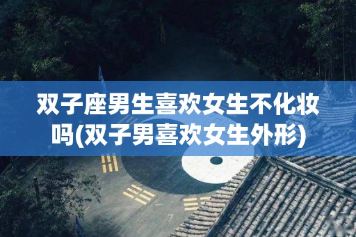 双子座男生喜欢女生不化妆吗(双子男喜欢女生外形)