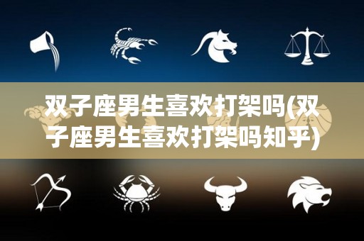 双子座男生喜欢打架吗(双子座男生喜欢打架吗知乎)