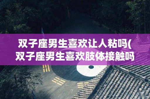 双子座男生喜欢让人粘吗(双子座男生喜欢肢体接触吗)