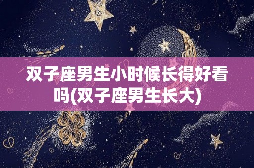 双子座男生小时候长得好看吗(双子座男生长大)