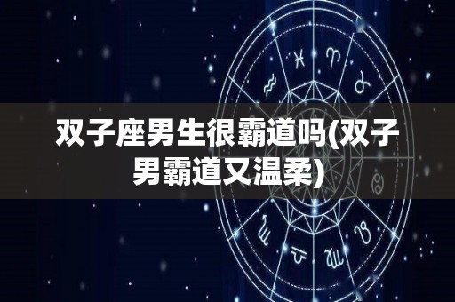 双子座男生很霸道吗(双子男霸道又温柔)