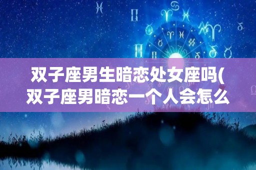 双子座男生暗恋处女座吗(双子座男暗恋一个人会怎么表现)