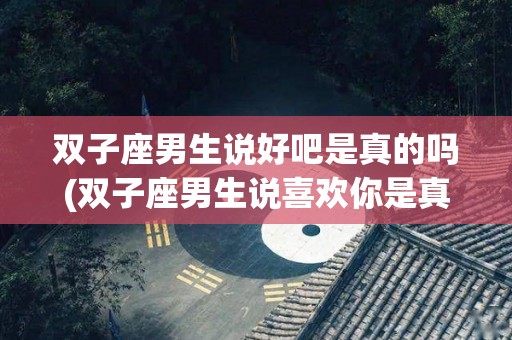 双子座男生说好吧是真的吗(双子座男生说喜欢你是真的吗)