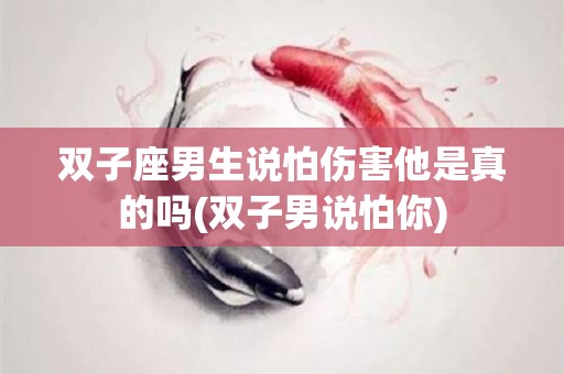 双子座男生说怕伤害他是真的吗(双子男说怕你)