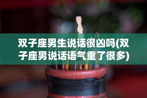 双子座男生说话很凶吗(双子座男说话语气重了很多)