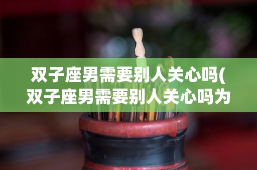 双子座男需要别人关心吗(双子座男需要别人关心吗为什么)