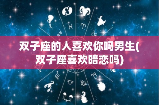 双子座的人喜欢你吗男生(双子座喜欢暗恋吗)