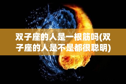 双子座的人是一根筋吗(双子座的人是不是都很聪明)