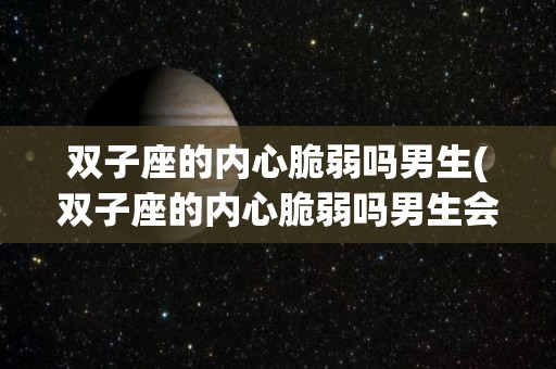 双子座的内心脆弱吗男生(双子座的内心脆弱吗男生会怎么样)