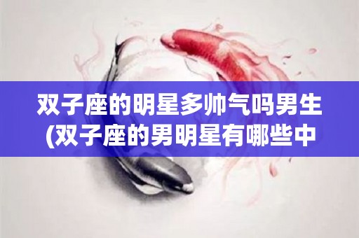 双子座的明星多帅气吗男生(双子座的男明星有哪些中国人)