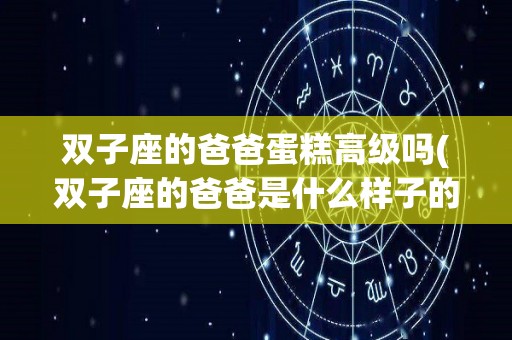 双子座的爸爸蛋糕高级吗(双子座的爸爸是什么样子的)