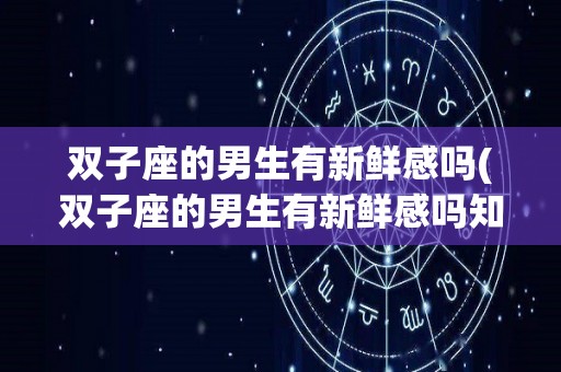 双子座的男生有新鲜感吗(双子座的男生有新鲜感吗知乎)