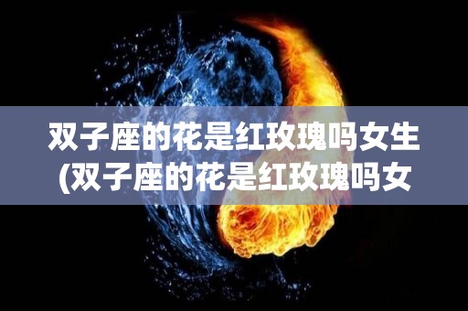 双子座的花是红玫瑰吗女生(双子座的花是红玫瑰吗女生图片)
