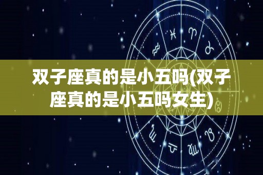 双子座真的是小五吗(双子座真的是小五吗女生)