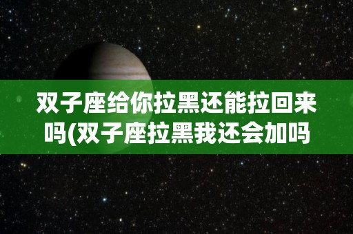 双子座给你拉黑还能拉回来吗(双子座拉黑我还会加吗)