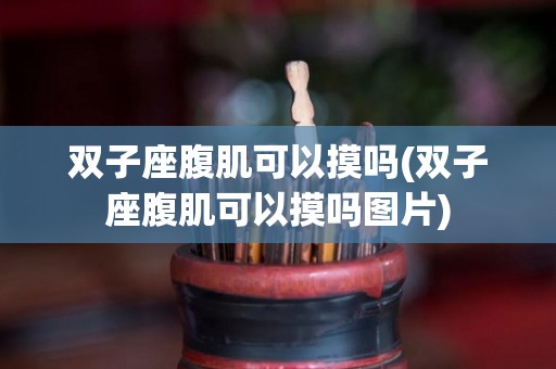 双子座腹肌可以摸吗(双子座腹肌可以摸吗图片)