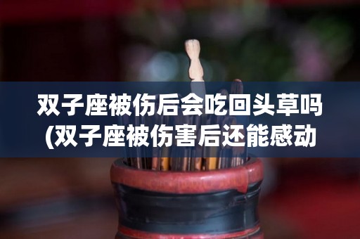 双子座被伤后会吃回头草吗(双子座被伤害后还能感动她吗)