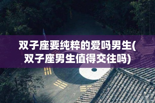 双子座要纯粹的爱吗男生(双子座男生值得交往吗)