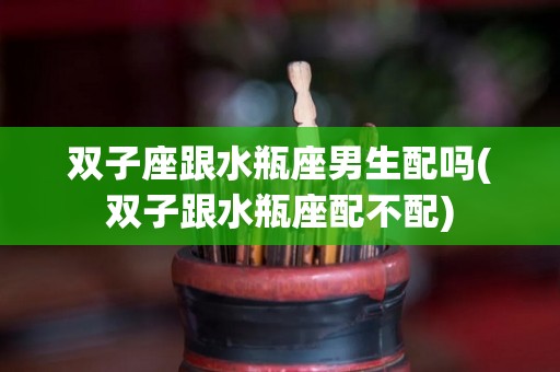 双子座跟水瓶座男生配吗(双子跟水瓶座配不配)