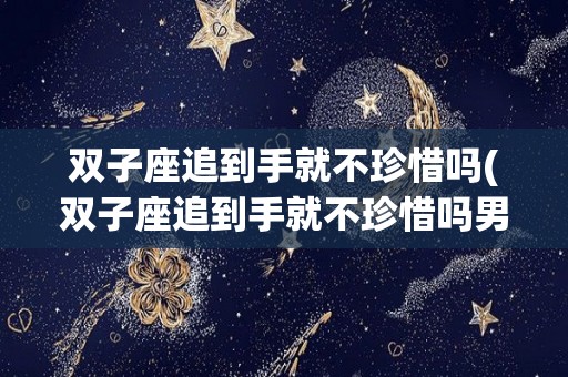 双子座追到手就不珍惜吗(双子座追到手就不珍惜吗男生)
