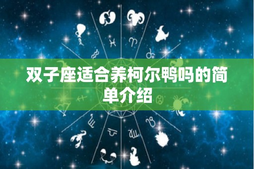 双子座适合养柯尔鸭吗的简单介绍