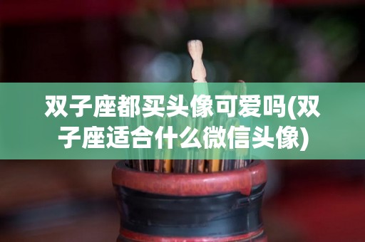 双子座都买头像可爱吗(双子座适合什么微信头像)