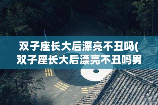 双子座长大后漂亮不丑吗(双子座长大后漂亮不丑吗男生)
