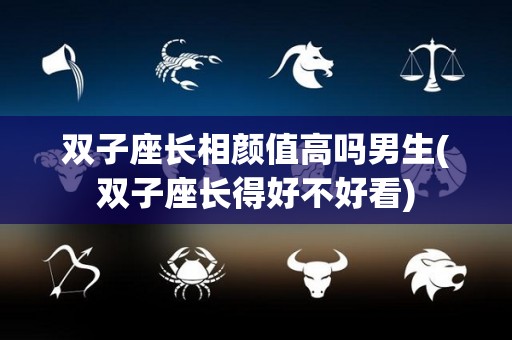 双子座长相颜值高吗男生(双子座长得好不好看)