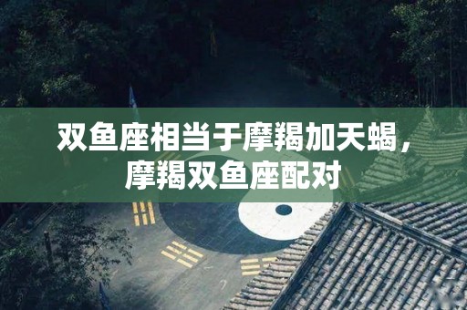 双鱼座相当于摩羯加天蝎，摩羯双鱼座配对