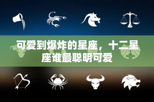 可爱到爆炸的星座，十二星座谁最聪明可爱