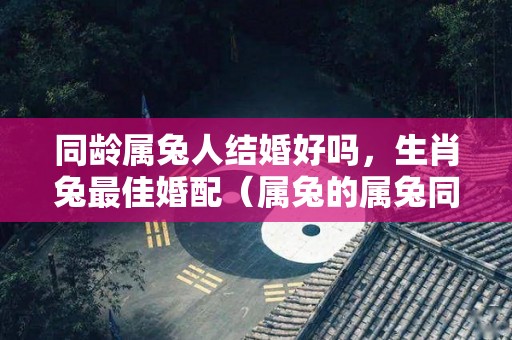 同龄属兔人结婚好吗，生肖兔最佳婚配（属兔的属兔同年婚姻配不配）