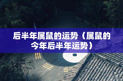 后半年属鼠的运势（属鼠的今年后半年运势）