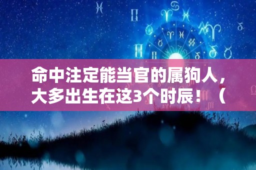 命中注定能当官的属狗人，大多出生在这3个时辰！（属狗人当领导怎么样）
