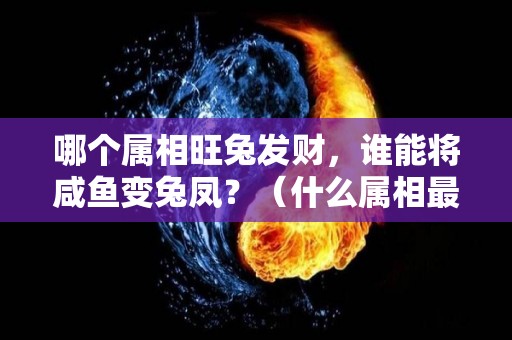 哪个属相旺兔发财，谁能将咸鱼变兔凤？（什么属相最旺属兔的财运）