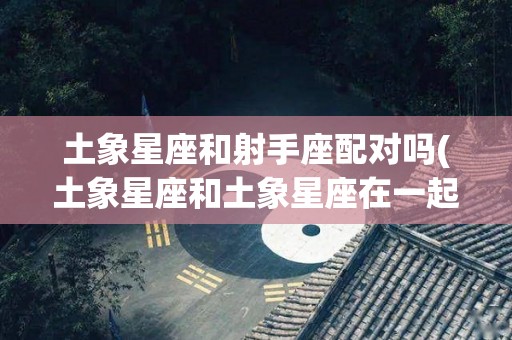 土象星座和射手座配对吗(土象星座和土象星座在一起合适吗)