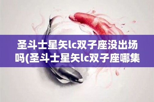 圣斗士星矢lc双子座没出场吗(圣斗士星矢lc双子座哪集出现了)