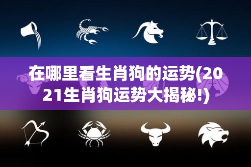 在哪里看生肖狗的运势(2021生肖狗运势大揭秘!)