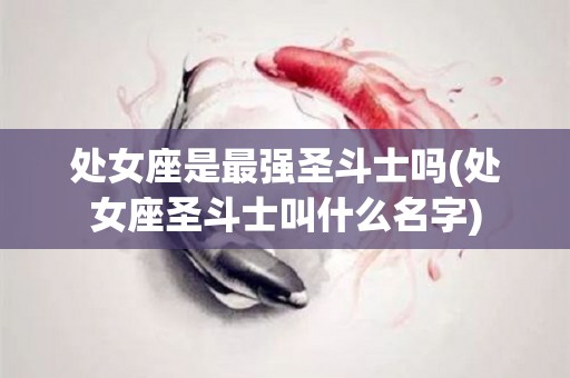 处女座是最强圣斗士吗(处女座圣斗士叫什么名字)