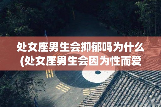 处女座男生会抑郁吗为什么(处女座男生会因为性而爱吗)