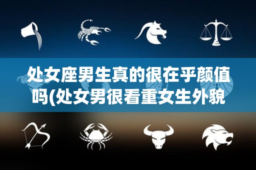 处女座男生真的很在乎颜值吗(处女男很看重女生外貌嘛)