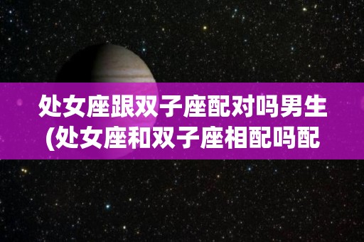 处女座跟双子座配对吗男生(处女座和双子座相配吗配对指数是多少)