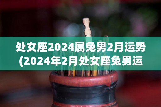 处女座2024属兔男2月运势(2024年2月处女座兔男运势解析)